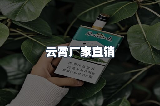 云霄厂家直销